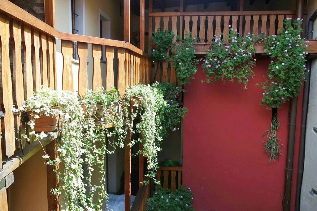 Appartamenti Vacanze E Camere Roccetta Fiorita Pettenasco Zewnętrze zdjęcie